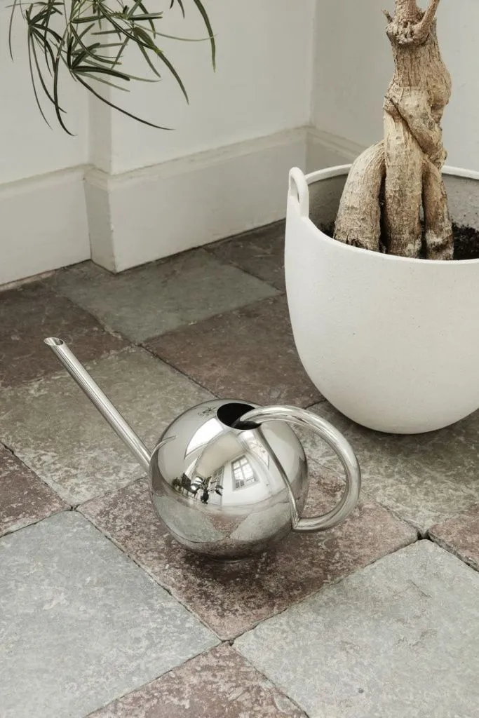 Лейка Orb Watering Can Mirror Polished