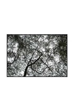 Фото-картина Под одним небом / Under  the same sky